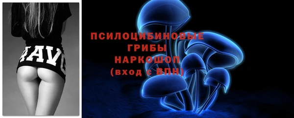 соль ск Пестово