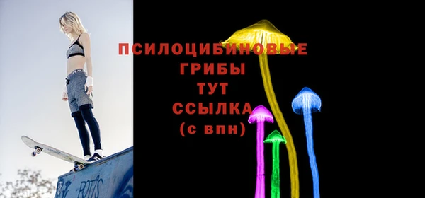 соль курить ск Переславль-Залесский