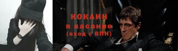 соль ск Пестово