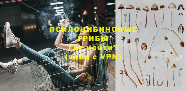 соль курить ск Переславль-Залесский