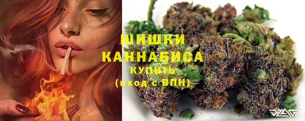 соль ск Пестово