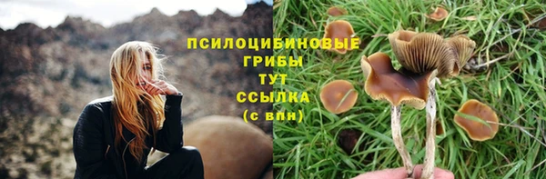соль ск Пестово